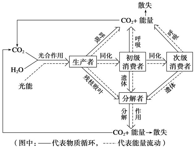 物质循环11.jpg